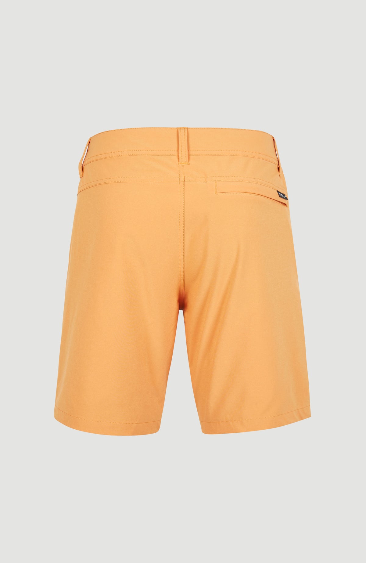 Easton Cargo 17'' Hybrid Shorts | Nugget