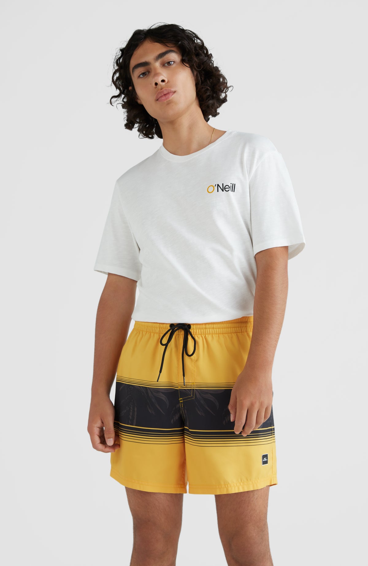 Cali Stripe Swim Shorts 16