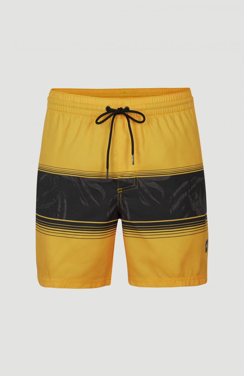 Cali Stripe Swim Shorts 16