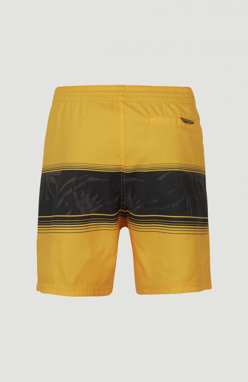 Cali Stripe Swim Shorts 16