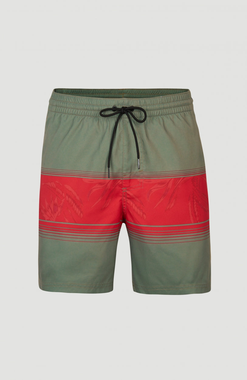 Cali Stripe Swim Shorts 16