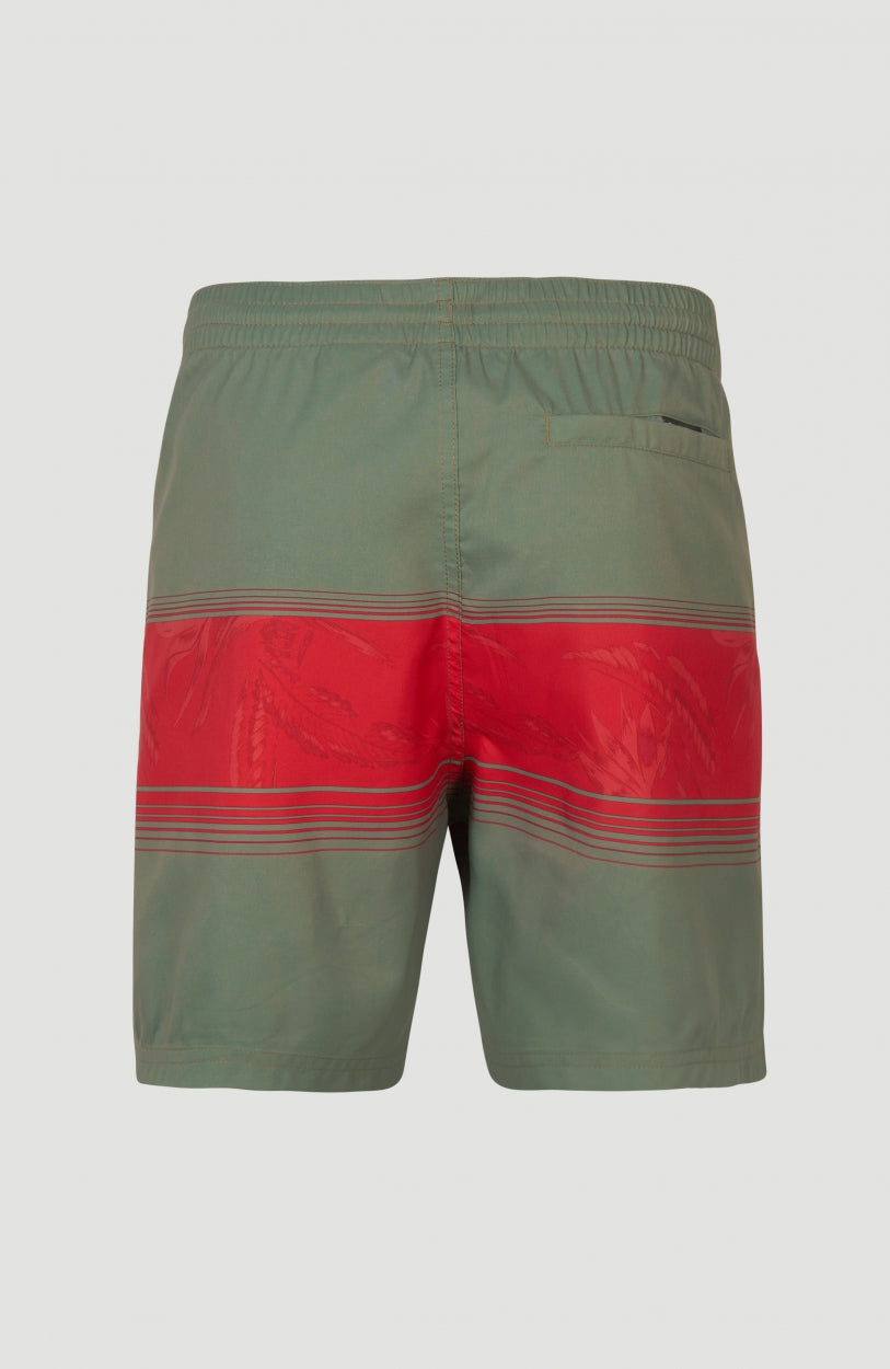 Cali Stripe Swim Shorts 16