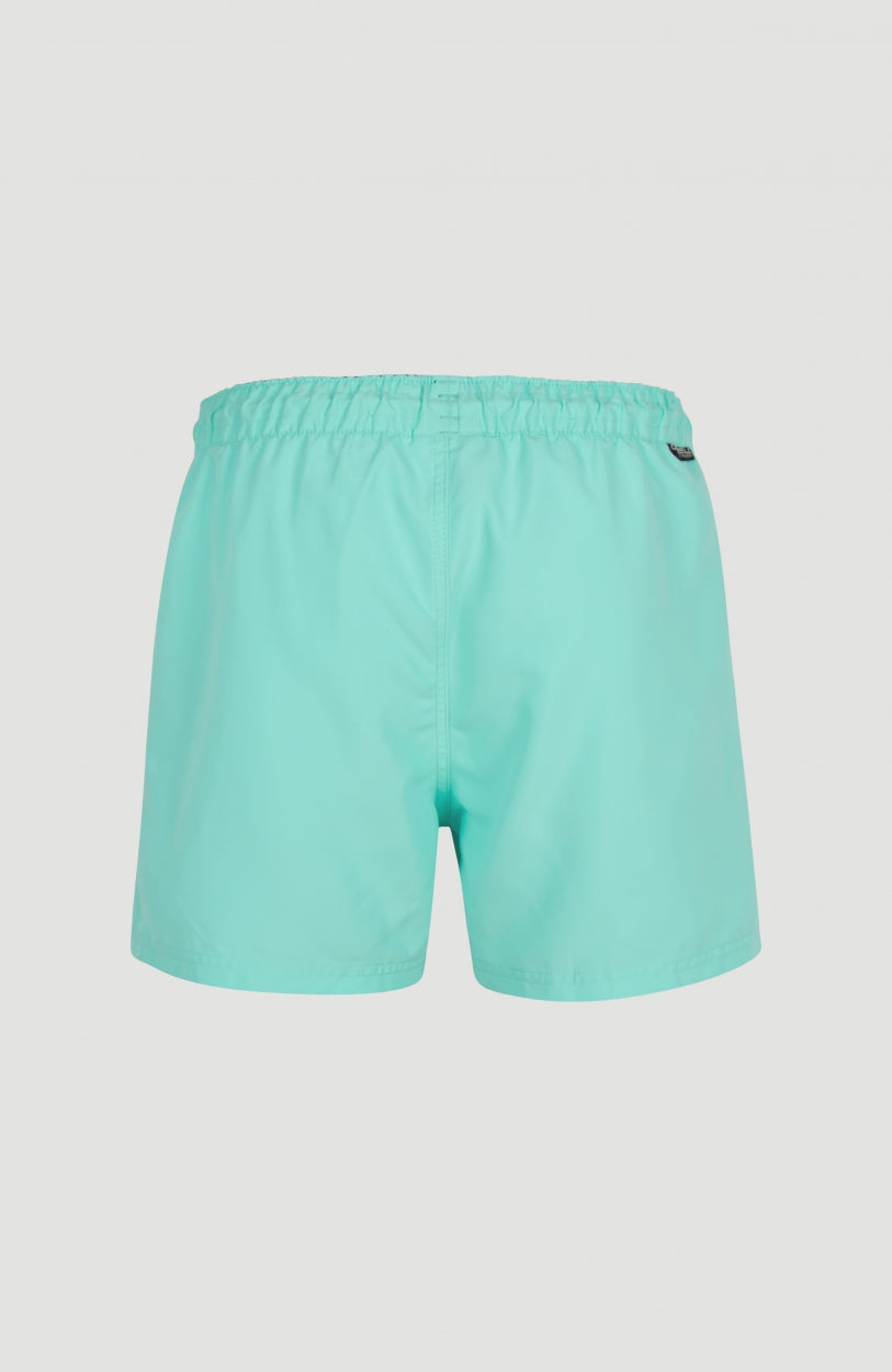 Cali Panel Swim Shorts 14