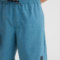 All Day Solid Hybrid Shorts | Blue Coral