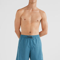 All Day Solid Hybrid Shorts | Blue Coral