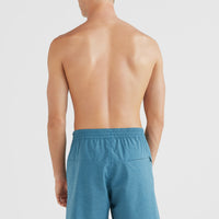 All Day Solid Hybrid Shorts | Blue Coral