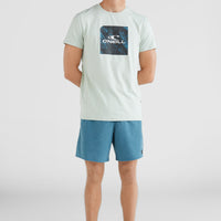 All Day Solid Hybrid Shorts | Blue Coral