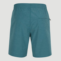 All Day Solid Hybrid Shorts | Blue Coral