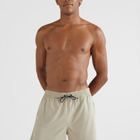 All Day Solid Hybrid Shorts | Crockery