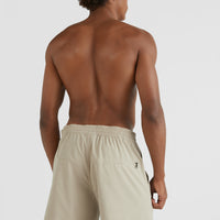 All Day Solid Hybrid Shorts | Crockery