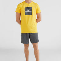 All Day Solid Hybrid Shorts | Asphalt