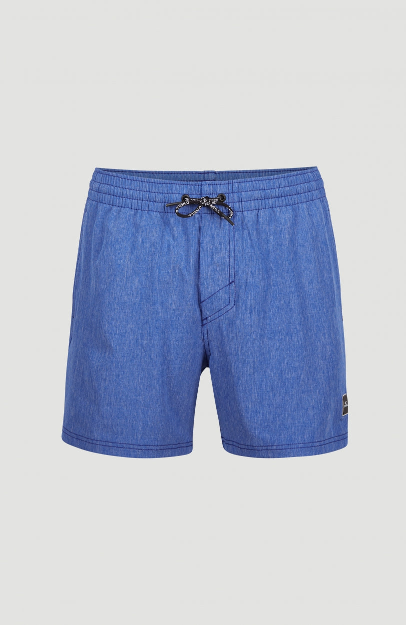 Full Stretch Swim Shorts 15