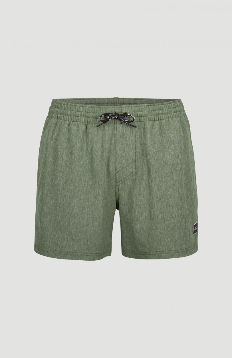 Full Stretch Swim Shorts 15