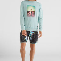 Hyperfreak Ulu Boardshorts 19