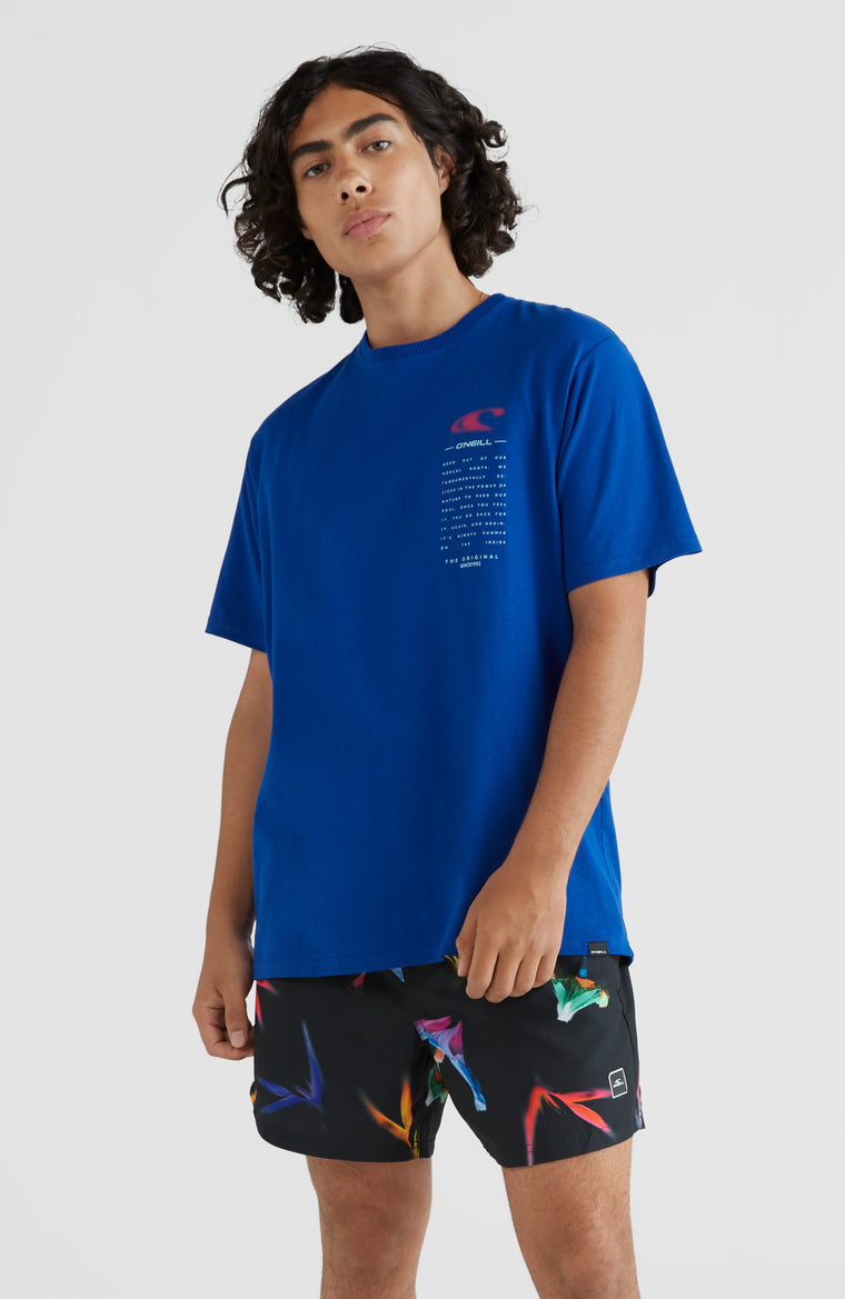 California T-Shirt | Surf the web Blue