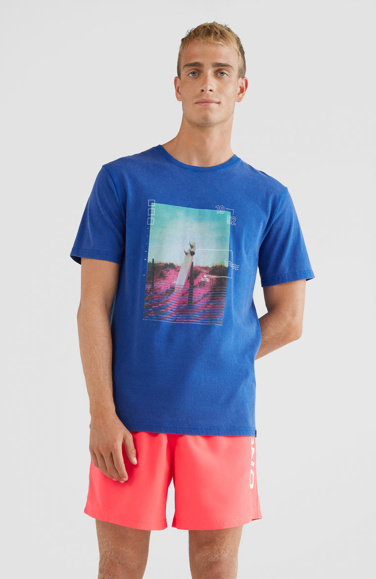 Bays T-Shirt | Surf the web Blue