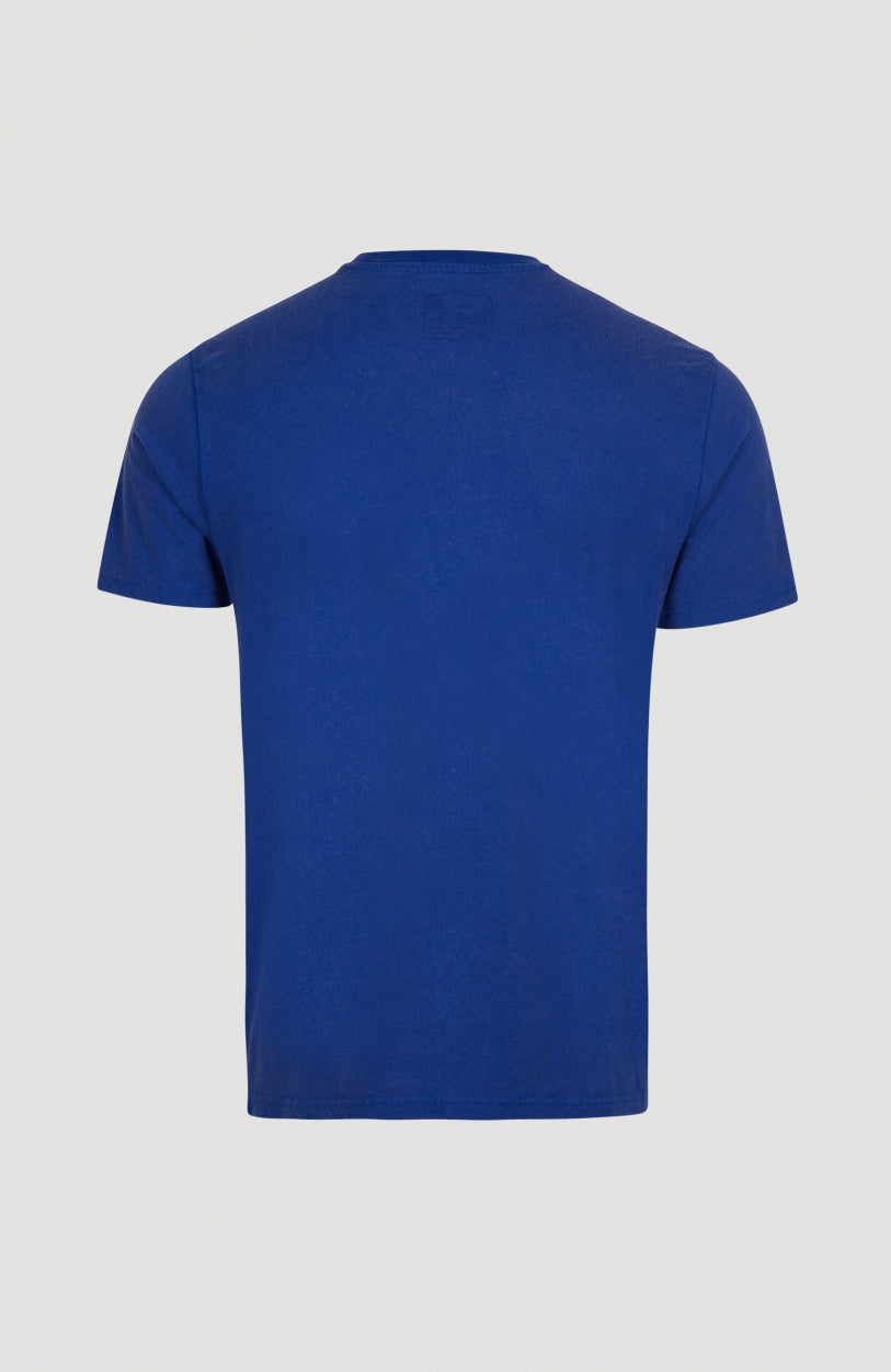 Cube Fill T-Shirt | Surf the web Blue