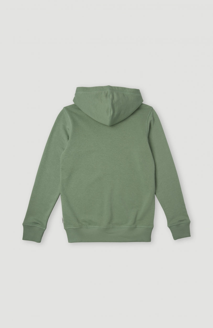 All Year Hooded Sweatshirt Jacket | Lily Pad