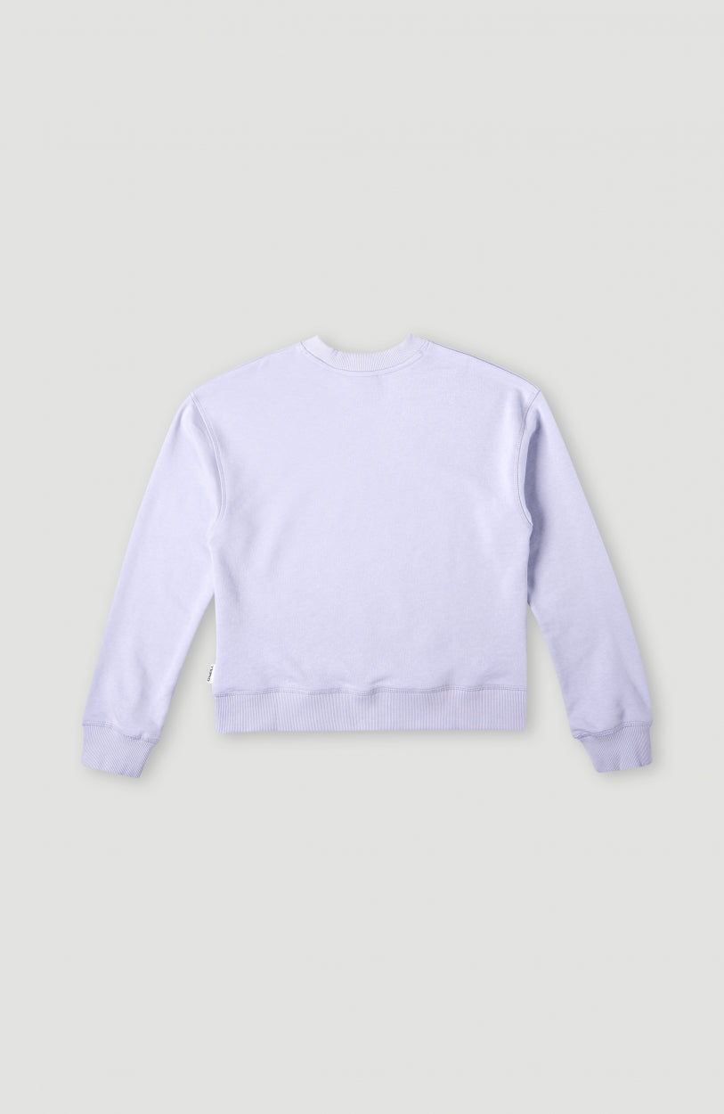 Circle Surfer Crew Sweatshirt | Purple Rose