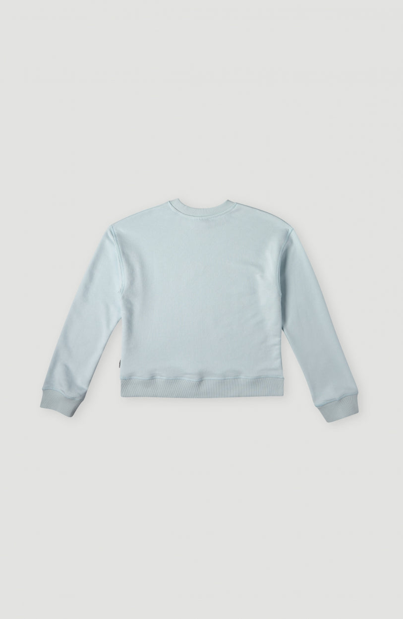 Circle Surfer Crew Sweatshirt | Whispering Blue