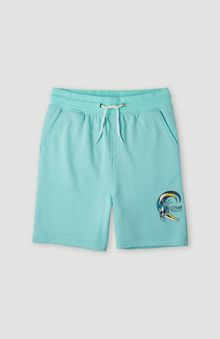 Circle Surfer Sweatshorts | Aqua Spalsh