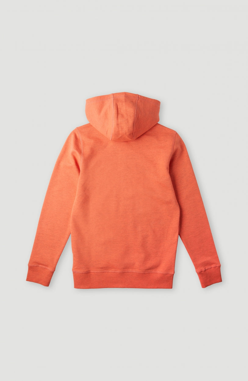 Circle Surfer Multi Hoodie | Living Coral