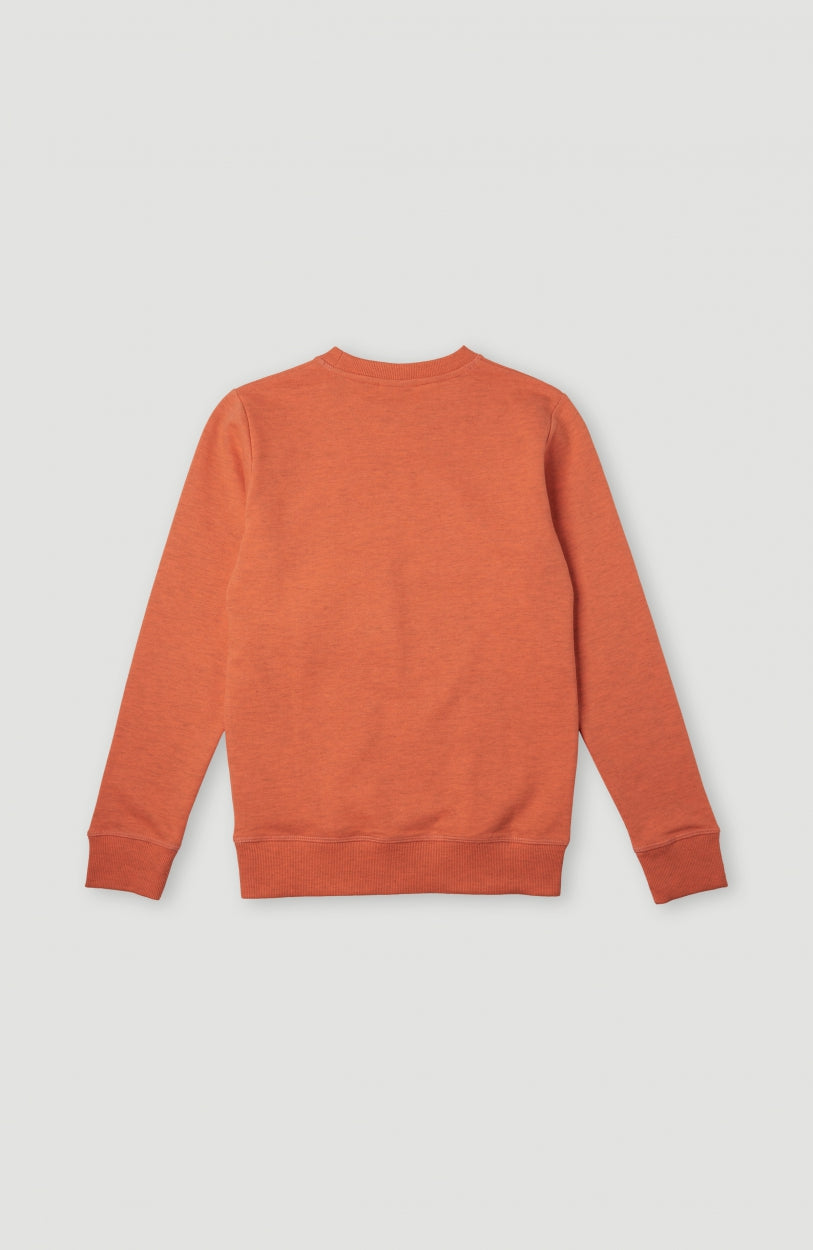 Circle Surfer Multi Crew Sweatshirt | Living Coral