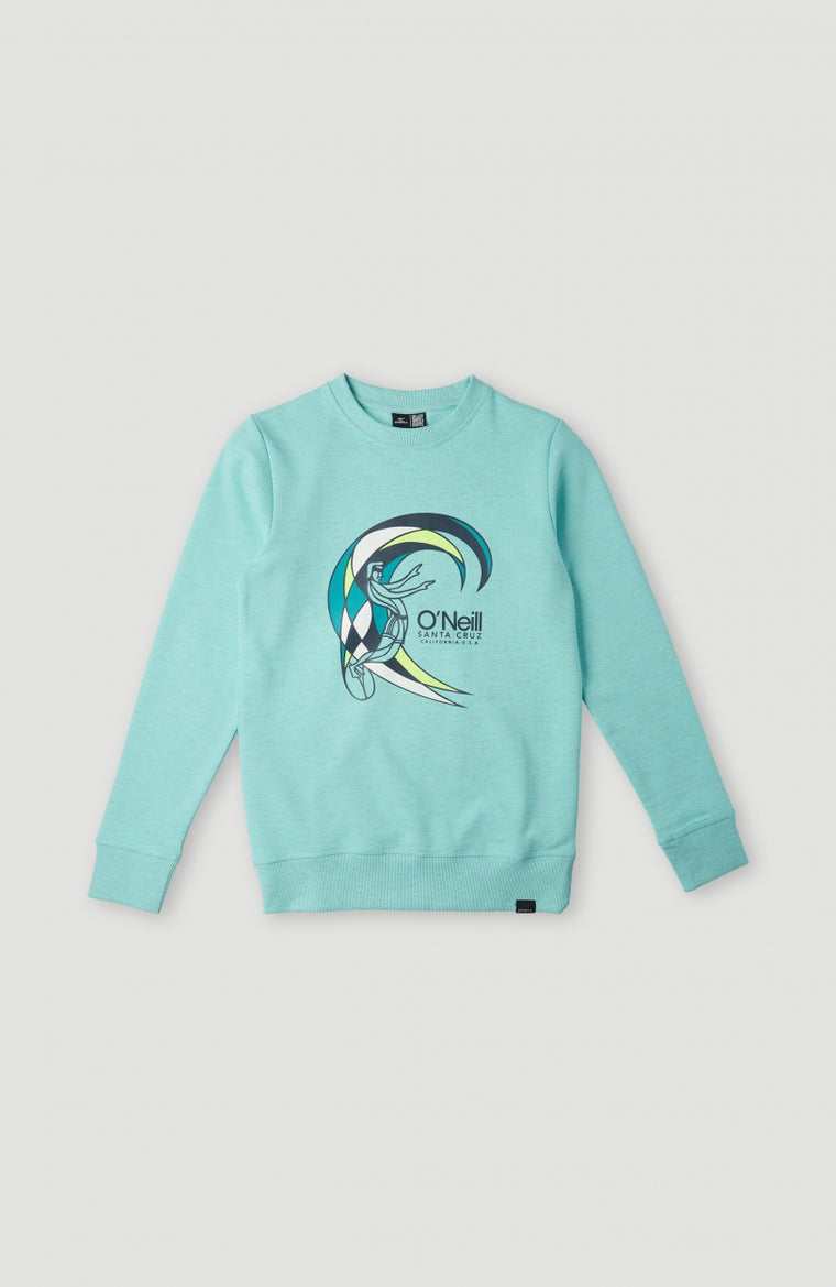 Circle Surfer Multi Crew Sweatshirt | Aqua Spalsh