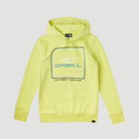 All Year Hoodie | Sunny Lime