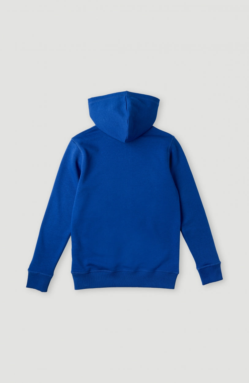 All Year Hoodie | Surf the web Blue