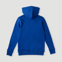All Year Hoodie | Surf the web Blue