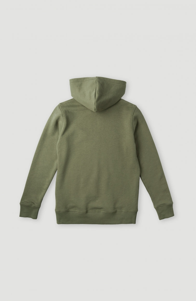 All Year Hoodie | Deep Lichen Green