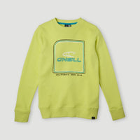 All Year Crew Sweatshirt | Sunny Lime