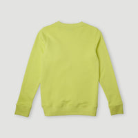 All Year Crew Sweatshirt | Sunny Lime