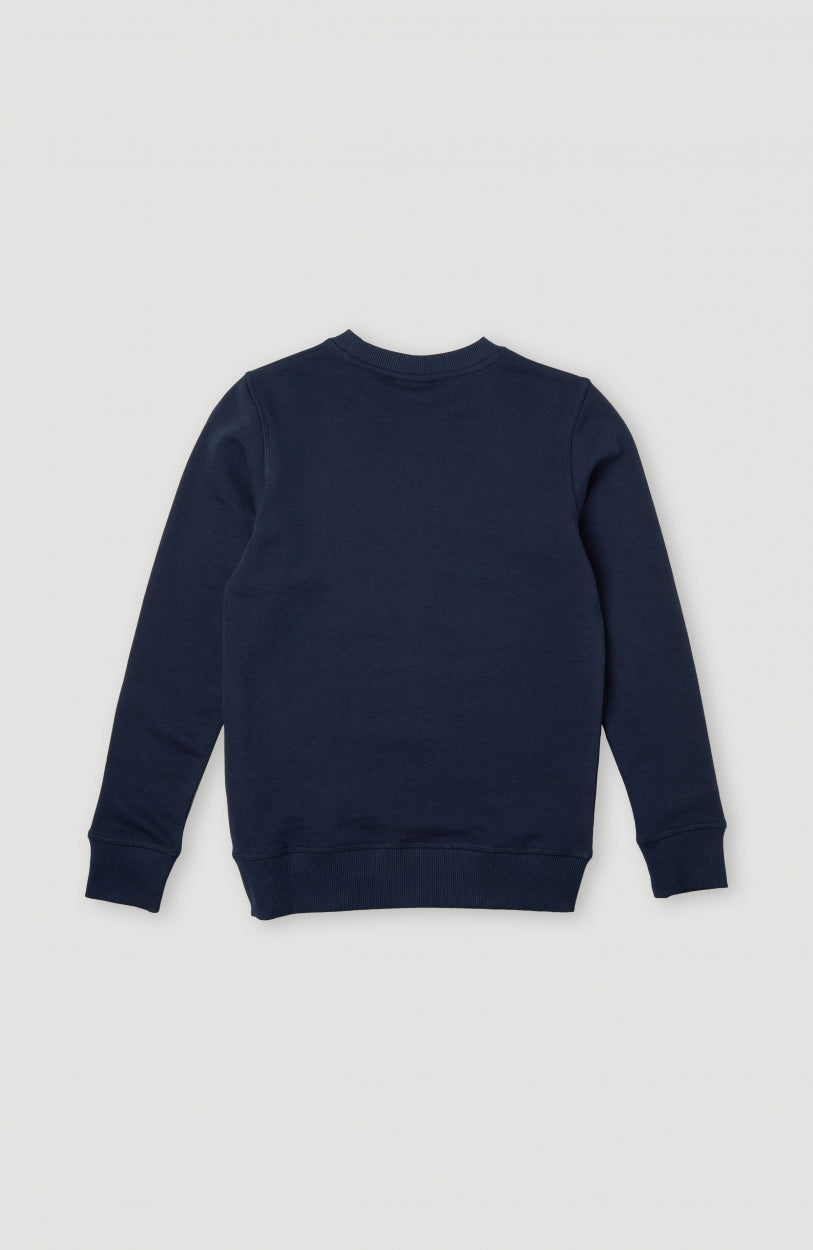 All Year Crew Sweatshirt | Ink Blue