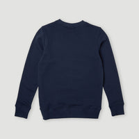 All Year Crew Sweatshirt | Ink Blue
