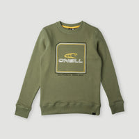 All Year Crew Sweatshirt | Deep Lichen Green