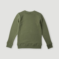All Year Crew Sweatshirt | Deep Lichen Green
