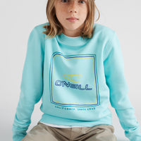 All Year Crew Sweatshirt | Aqua Spalsh