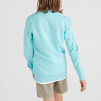 All Year Crew Sweatshirt | Aqua Spalsh