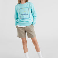 All Year Crew Sweatshirt | Aqua Spalsh