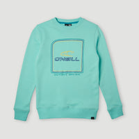 All Year Crew Sweatshirt | Aqua Spalsh