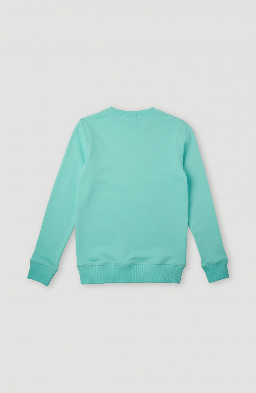 All Year Crew Sweatshirt | Aqua Spalsh