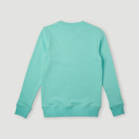 All Year Crew Sweatshirt | Aqua Spalsh
