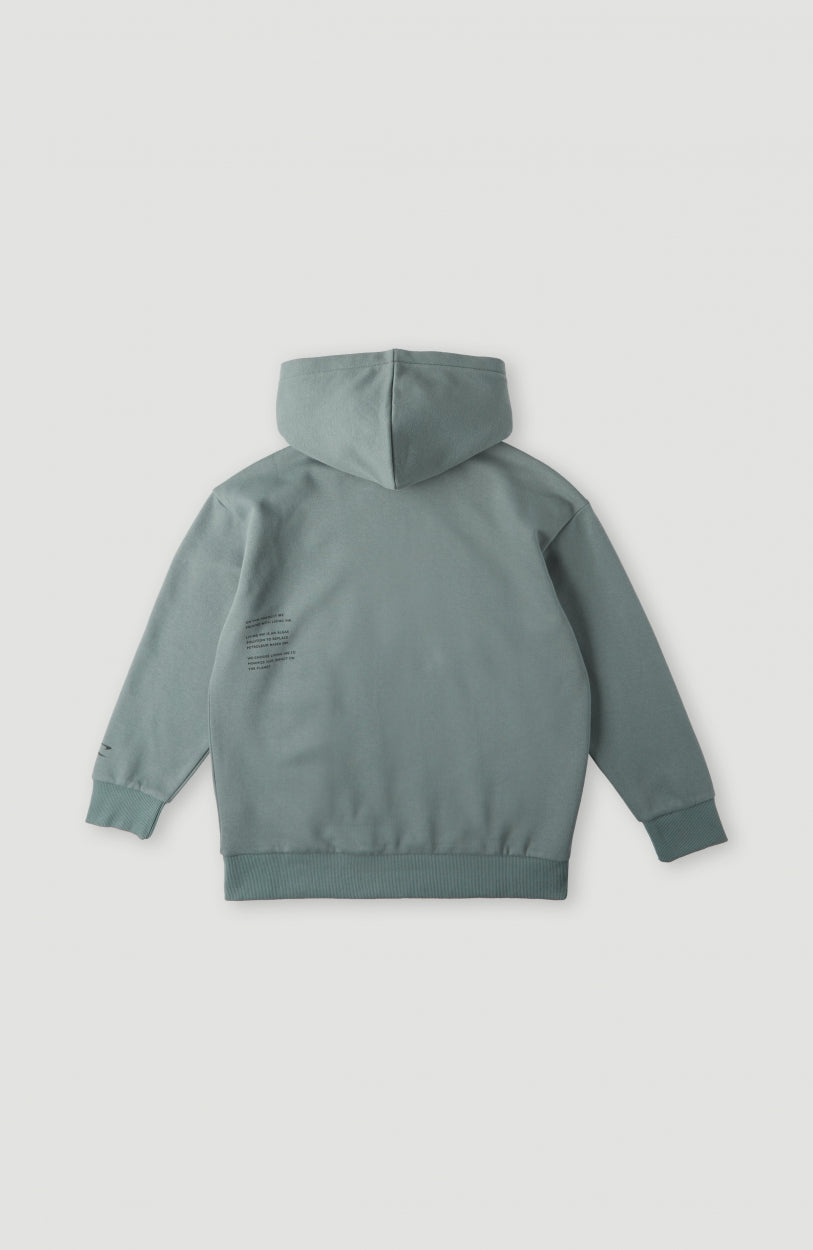 Atlantic Hoodie | Balsam Green