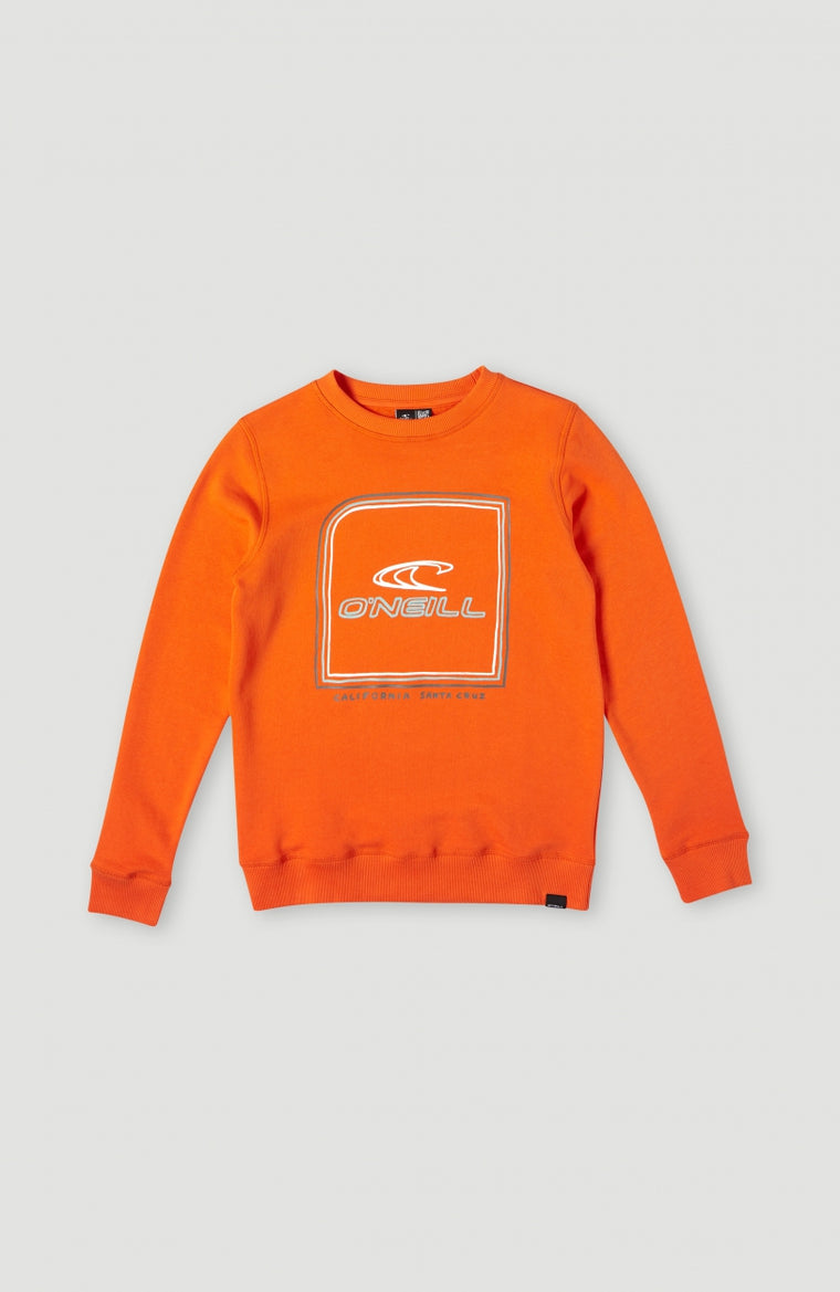 Cube Crew Sweatshirt | Puffin's Bill