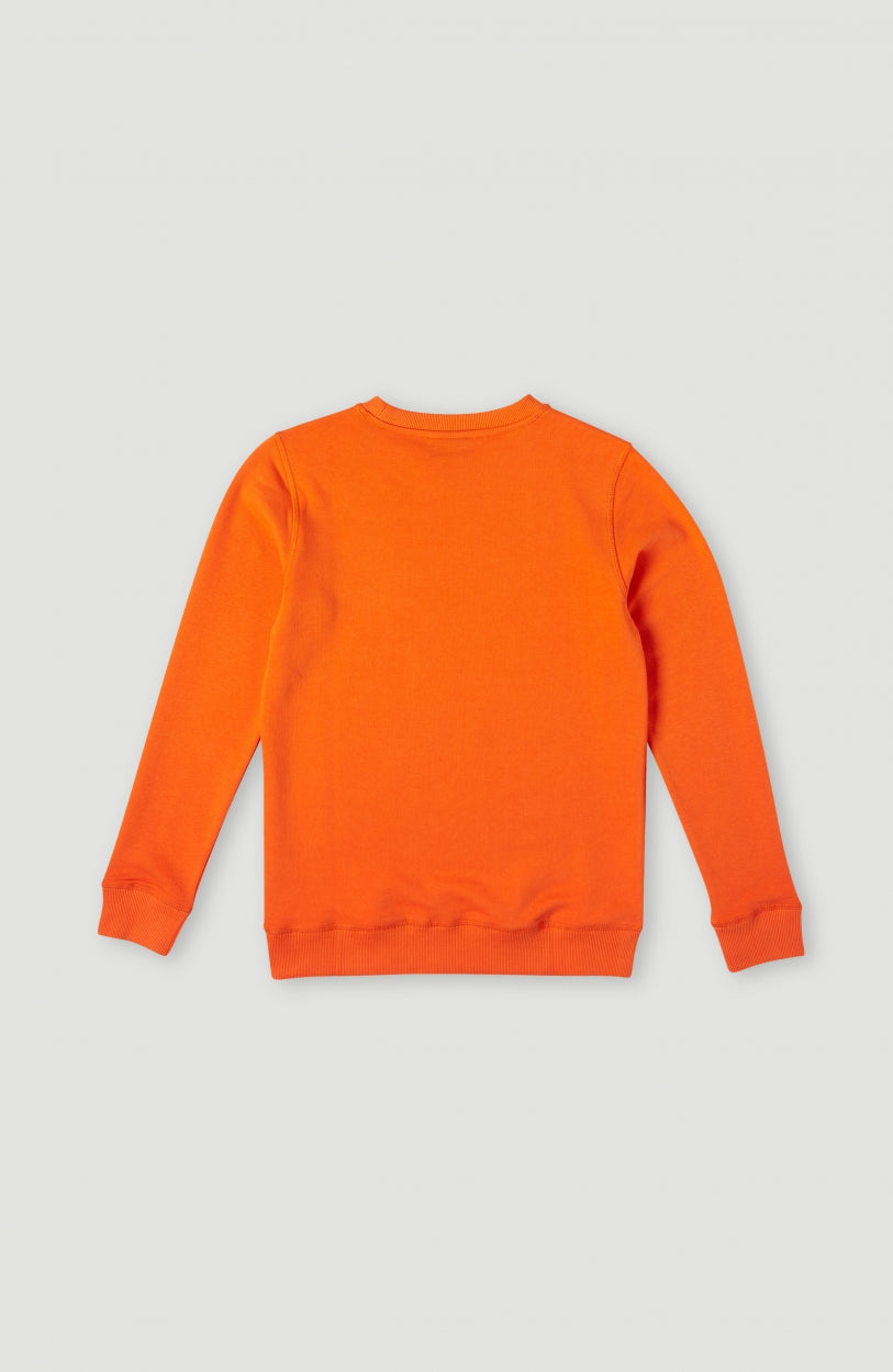 Cube Crew Sweatshirt | Puffin's Bill