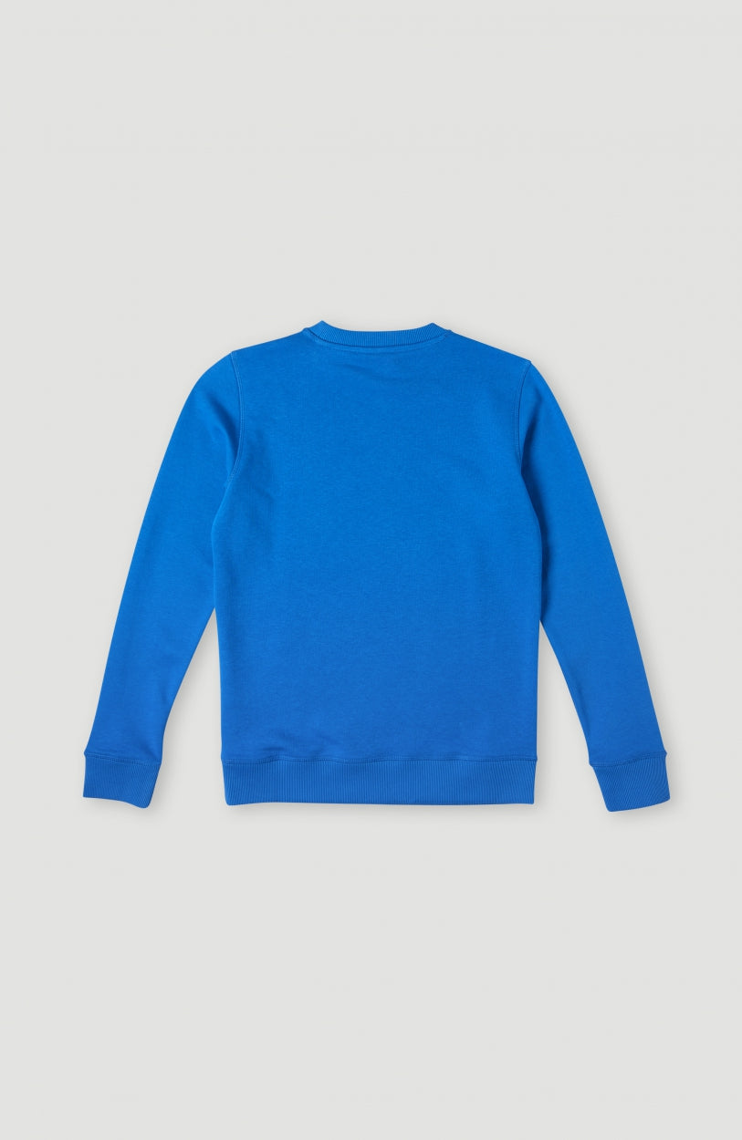 Cube Crew Sweatshirt | Directoire Blue