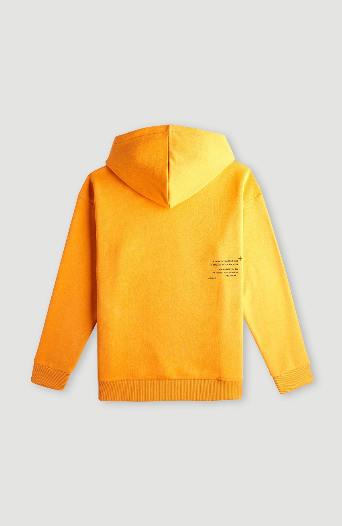 Future Surf Hoodie | Nugget
