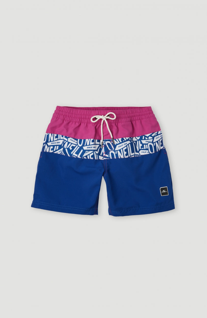 Block Swim Shorts 13
